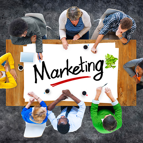 Marketing & Promotion For Newbies 